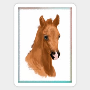 Red Foal Sticker